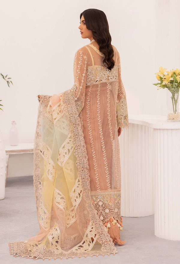 Adans Libas | Chantelle Chiffon | BLUSH OPAL by Adans Libas - Designer Dress - Type: Formal - Available at Libayah - 100% Original