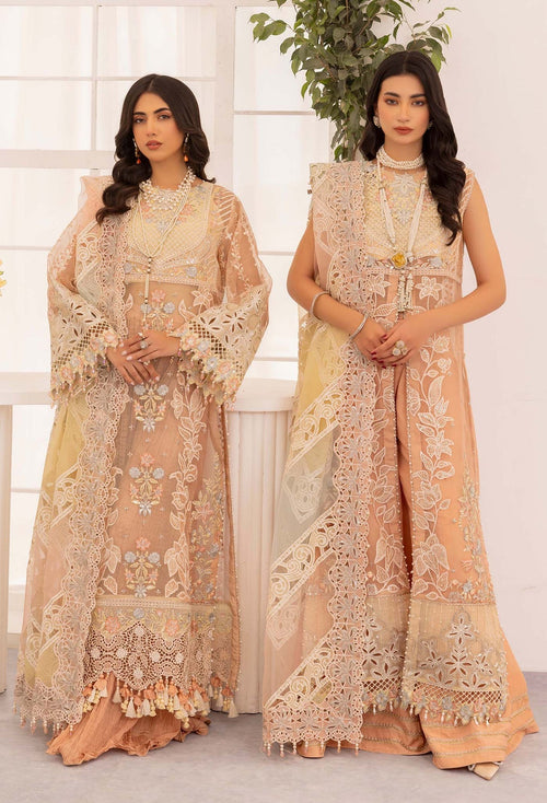 Adans Libas | Chantelle Chiffon | BLUSH OPAL by Adans Libas - Designer Dress - Type: Formal - Available at Libayah - 100% Original