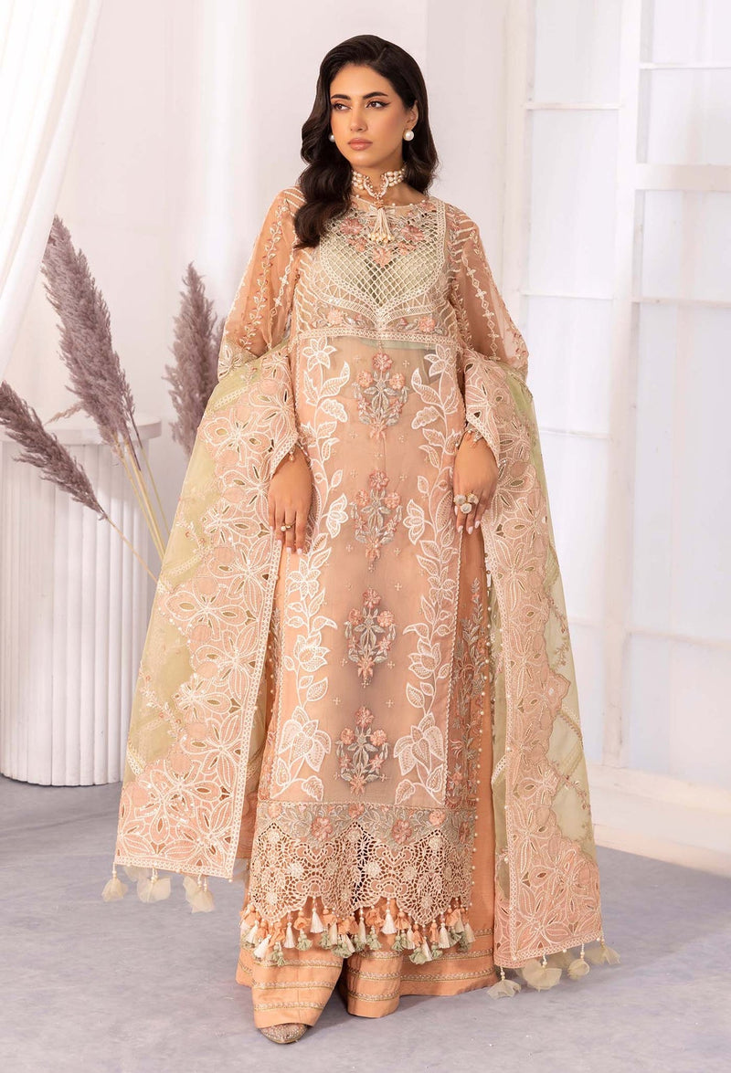 Adans Libas | Chantelle Chiffon | APRICOT AGATE by Adans Libas - Designer Dress - Type: Formal - Available at Libayah - 100% Original