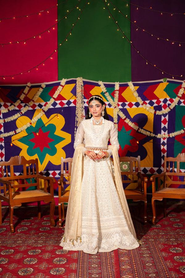 Al Karam | Luxe Formals | RTS | SHIRT, LINING, TROUSER & DUPATTA N by Al Karam - Designer Dress  - Type : Ladies Clothes - Available at Libayah - 100% Original 