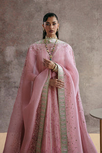 Suffuse | Silk Pret Fall’25 | ZAREEN