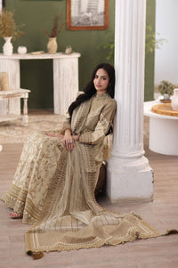 Mohagni | Ishq Aatish Formals | MGS-10 2PC MAXI Raw Silk by Mohagni - Designer Dress - Type: Ladies Clothes - Available at Libayah - 100% Original
