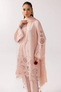 Qalamkar | Basic Pret 25 | KT-05 Shareen by Qalamkar - Designer Dress - Type: Ladies Clothes - Available at Libayah - 100% Original