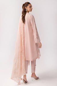 Qalamkar | Basic Pret 25 | KT-05 Shareen by Qalamkar - Designer Dress - Type: Ladies Clothes - Available at Libayah - 100% Original
