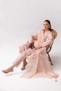 Qalamkar | Basic Pret 25 | KT-05 Shareen by Qalamkar - Designer Dress - Type: Ladies Clothes - Available at Libayah - 100% Original