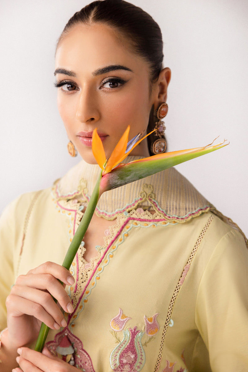 Qalamkar | Basic Pret 25 | KT-08 Afra by Qalamkar - Designer Dress - Type: Ladies Clothes - Available at Libayah - 100% Original