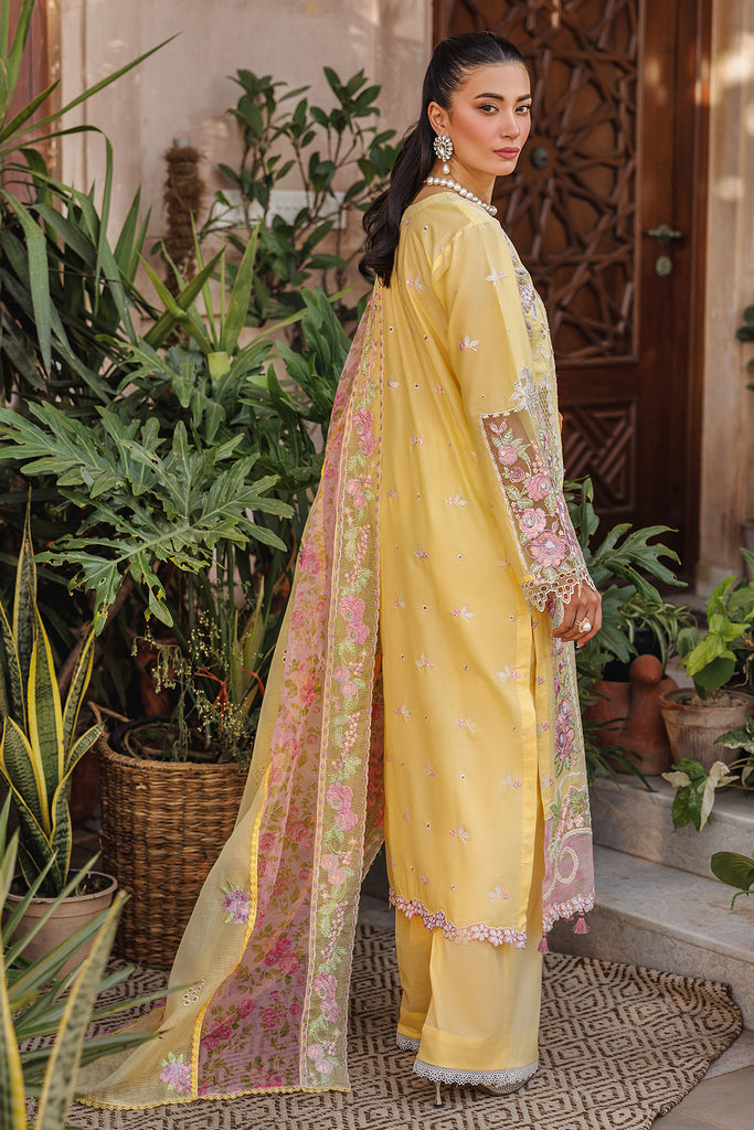 Rajbari | Amali Festive Lawn | 2-A by Rajbari - Designer Dress - Type: Ladies Clothes - Available at Libayah - 100% Original