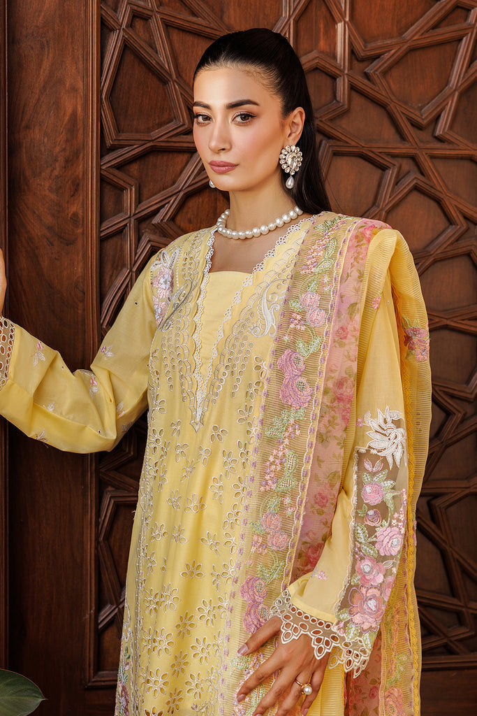 Rajbari | Amali Festive Lawn | 2-A by Rajbari - Designer Dress - Type: Ladies Clothes - Available at Libayah - 100% Original