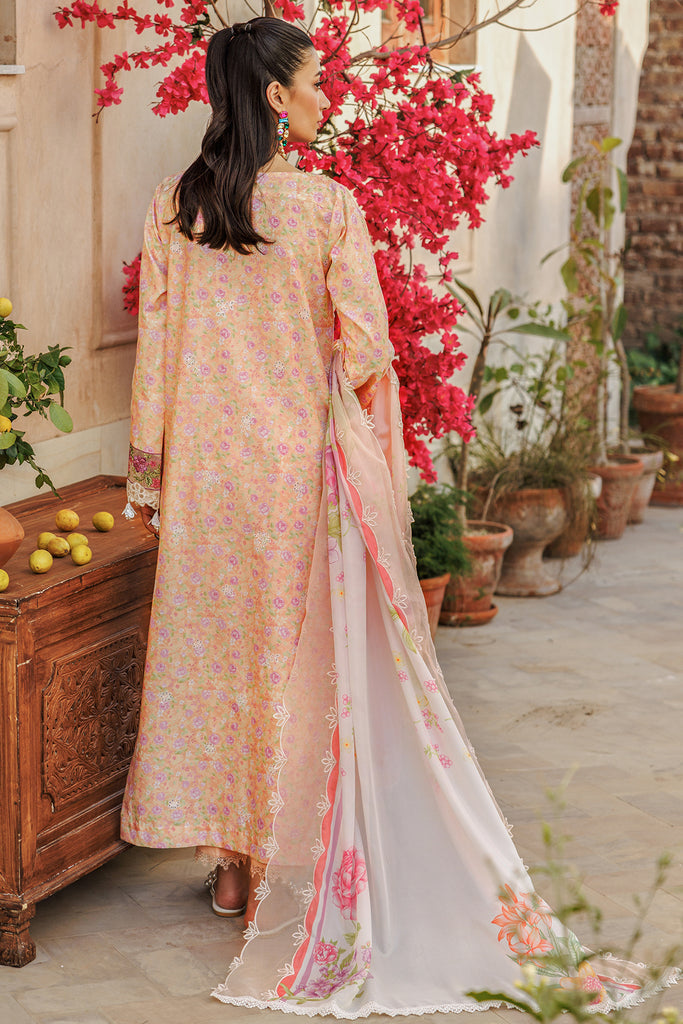 Rajbari | Amali Festive Lawn | 5-B by Rajbari - Designer Dress - Type: Ladies Clothes - Available at Libayah - 100% Original
