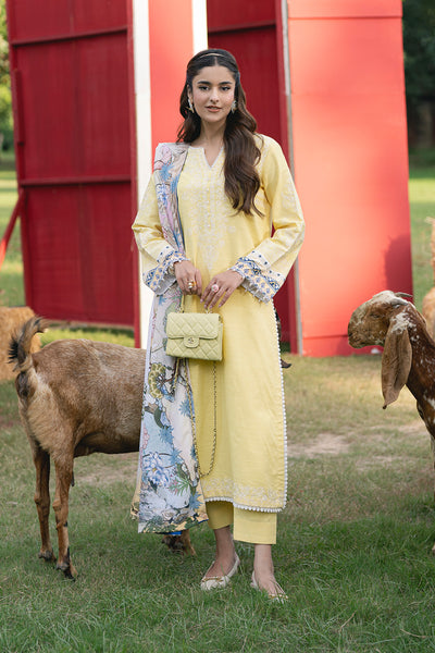 GULALI - MSS5768 – authentic Pakistani dress from the Maryum N Maria Cosy Crew Winter Pret 25 collection for women in the UK
