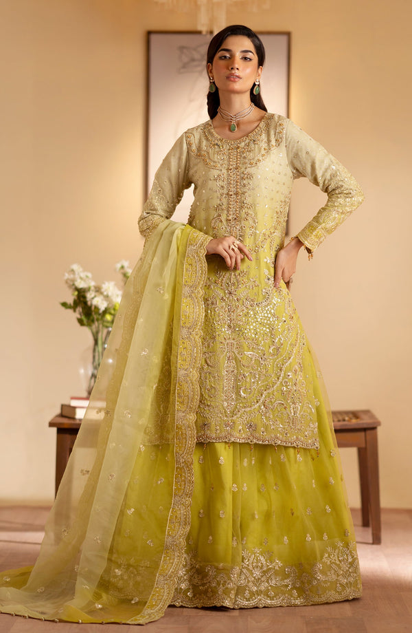 Emaan Adeel | Romansiyyah Luxury Formals 24 | Sabian by Emaan Adeel - Designer Dress - Type: Formal - Available at Libayah - 100% Original
