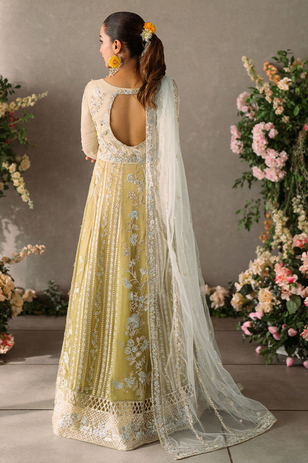 Mushq | Mastani Evening Luxury Chiffon | Hira by Mushq - Designer Dress  - Type : Wedding Dress - Available at Libayah - 100% Original 