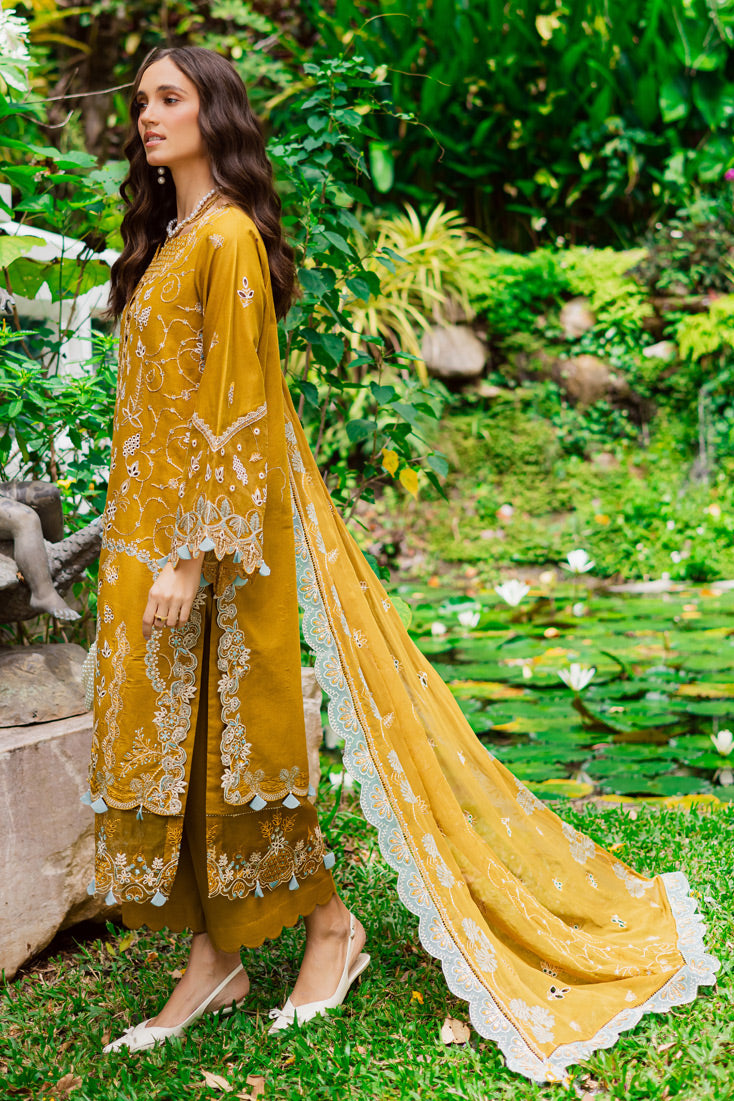 Marjjan | Bella Karandi 25 |MWK-38 A (MUSTARD)