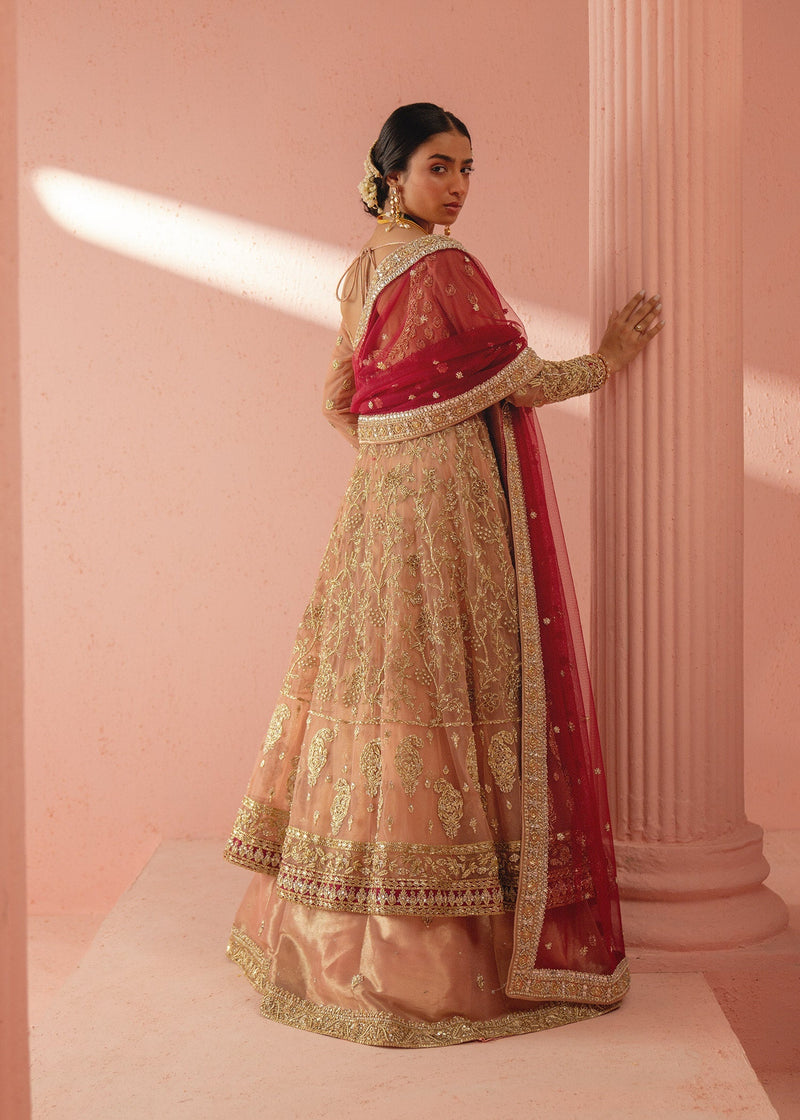 Mahgul | Kohinoor Bagh | Aisha by Mahgul - Designer Dress - Type: Ladies Clothes - Available at Libayah - 100% Original