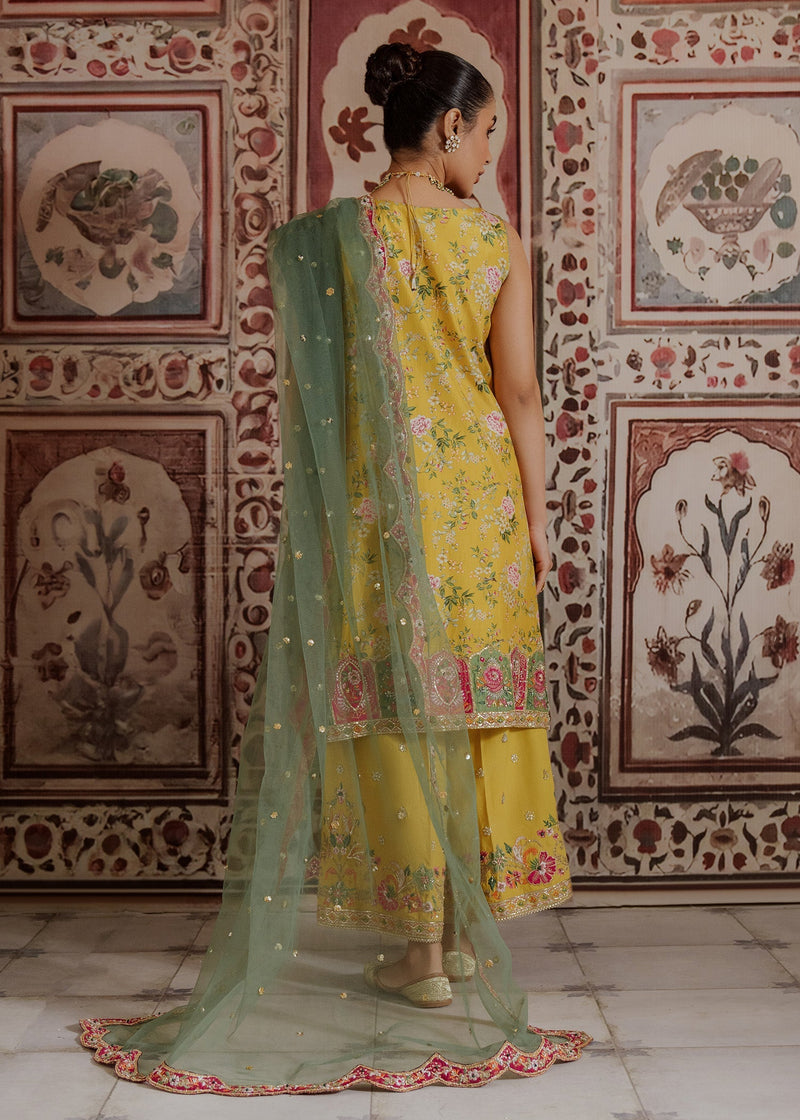 Mahgul | Portraits of Anaya | Marigold by Mahgul - Designer Dress - Type: Ladies Clothes - Available at Libayah - 100% Original