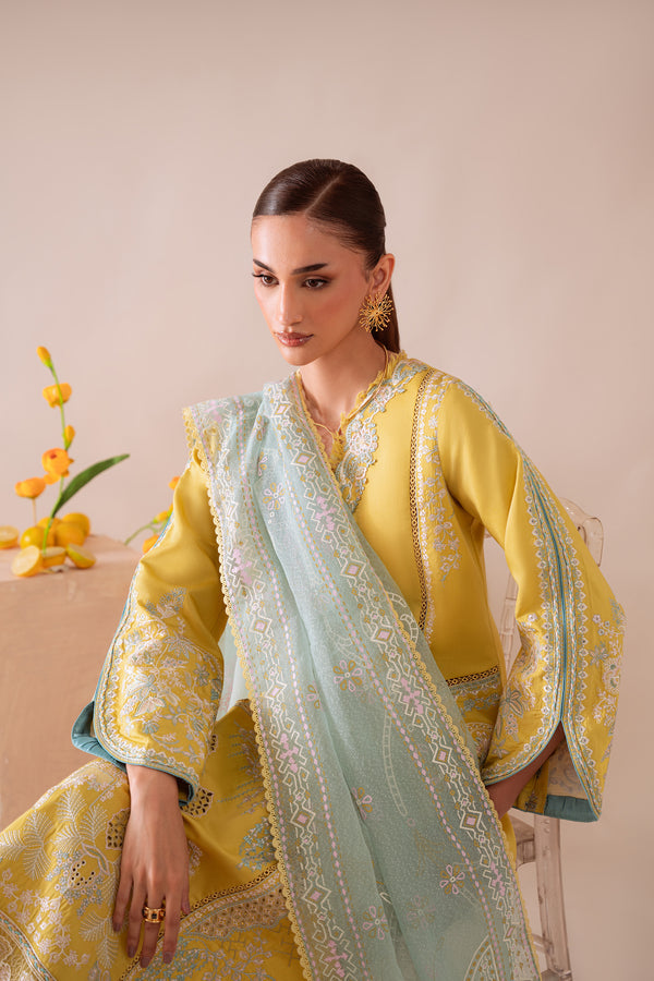 Aabyaan | Miraal Signature Embroidered Viscose 25 | MEHRA