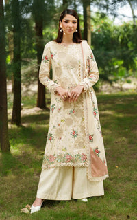 Misty Meadows – authentic Pakistani dress from the Asifa and Nabeel Meraki Winter 25 collection for women in the UK