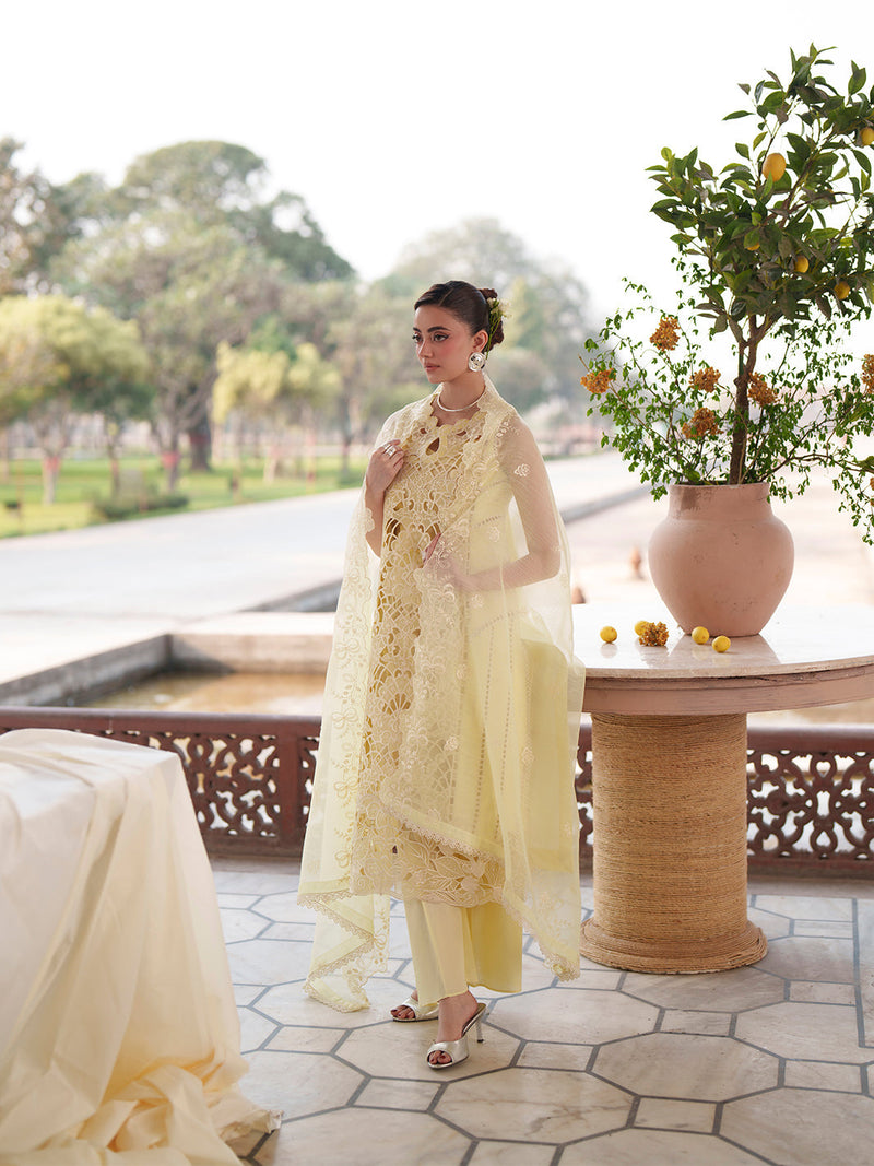 Mahnur | Nilofer Luxury Lawn 26 | NL-07 by Mahnur - Designer Dress  - Type : Ladies Clothes - Available at Libayah - 100% Original 