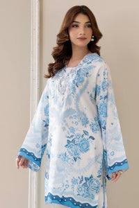 Adans Libas | Embrodiered Co Ord Sets | 4206 by Adans Libas - Designer Dress  - Type : Ladies Clothes - Available at Libayah - 100% Original 