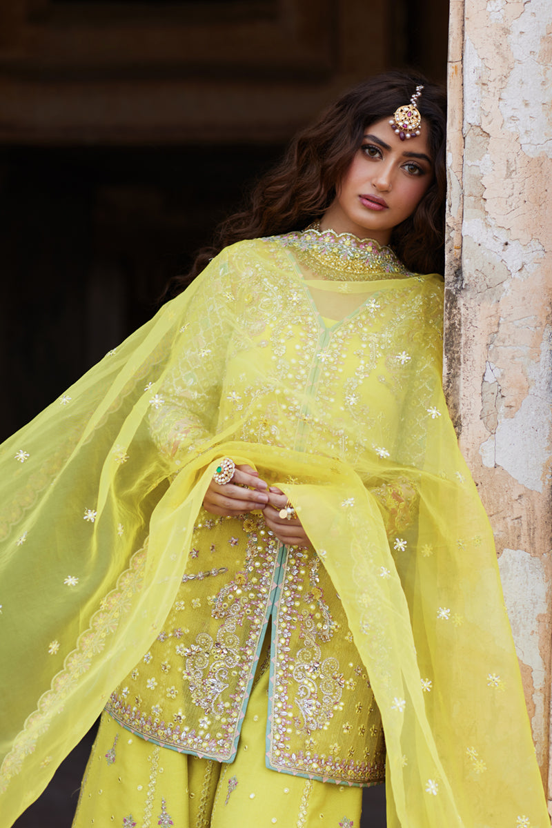 Qalamkar | Shadmani Luxury Formals |  Dania SH-05 by Qalamkar - Designer Dress - Type: Ladies Clothes - Available at Libayah - 100% Original