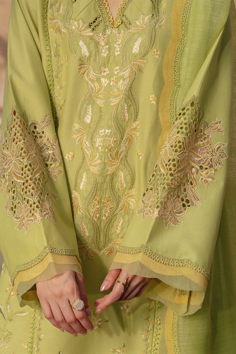 Rangrasiya | Luxury Eid Collection | Nadine - by Libayah - Registered Vendor of : Rangrasiya - 100% Original Designer Dress