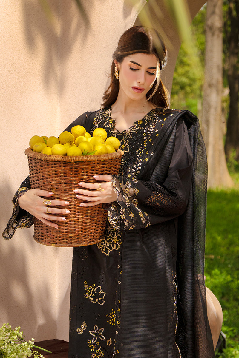 Rangrasiya | Luxury Eid Collection | Layl - by Libayah - Registered Vendor of : Rangrasiya - 100% Original Designer Dress