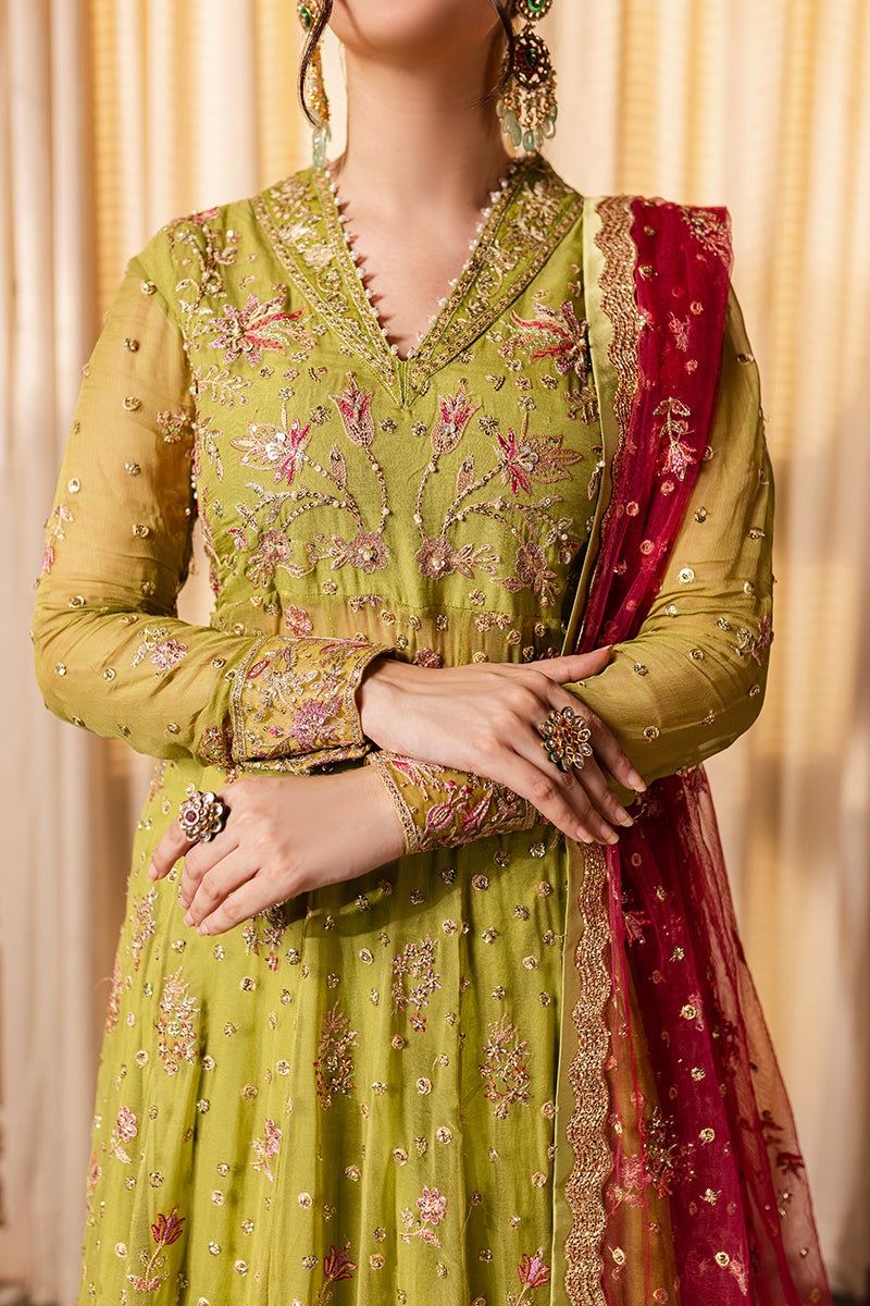 Roheenaz | Naira Chiffon 24 | Inaya by Roheenaz - Designer Dress - Type: Ladies Clothes - Available at Libayah - 100% Original