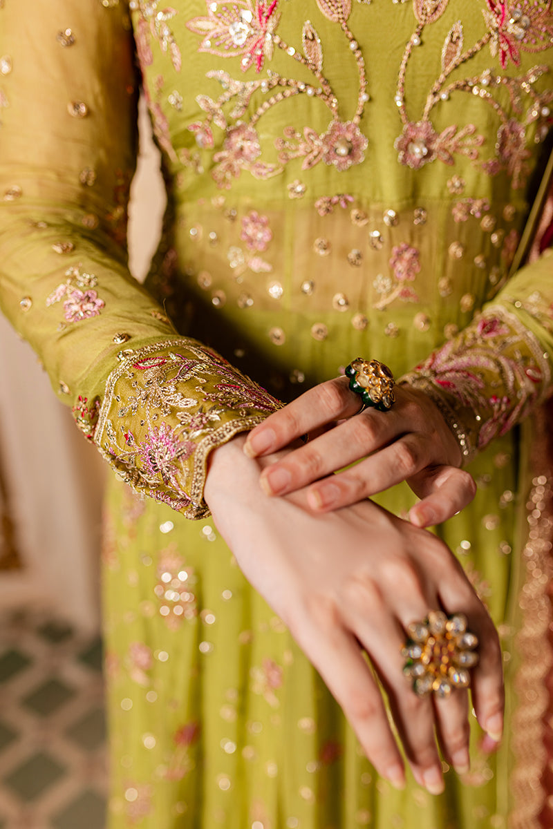 Roheenaz | Naira Chiffon 24 | Inaya by Roheenaz - Designer Dress - Type: Ladies Clothes - Available at Libayah - 100% Original