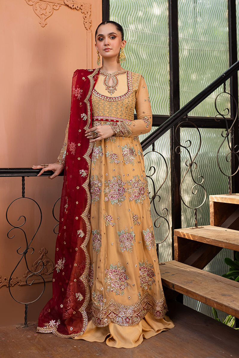 Roheenaz | Naira Chiffon 24 | Aylin by Roheenaz - Designer Dress - Type: Ladies Clothes - Available at Libayah - 100% Original