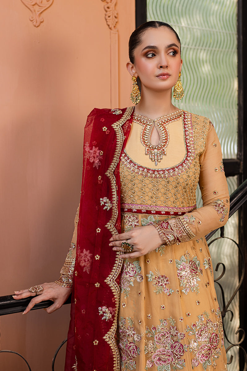 Roheenaz | Naira Chiffon 24 | Aylin by Roheenaz - Designer Dress - Type: Ladies Clothes - Available at Libayah - 100% Original