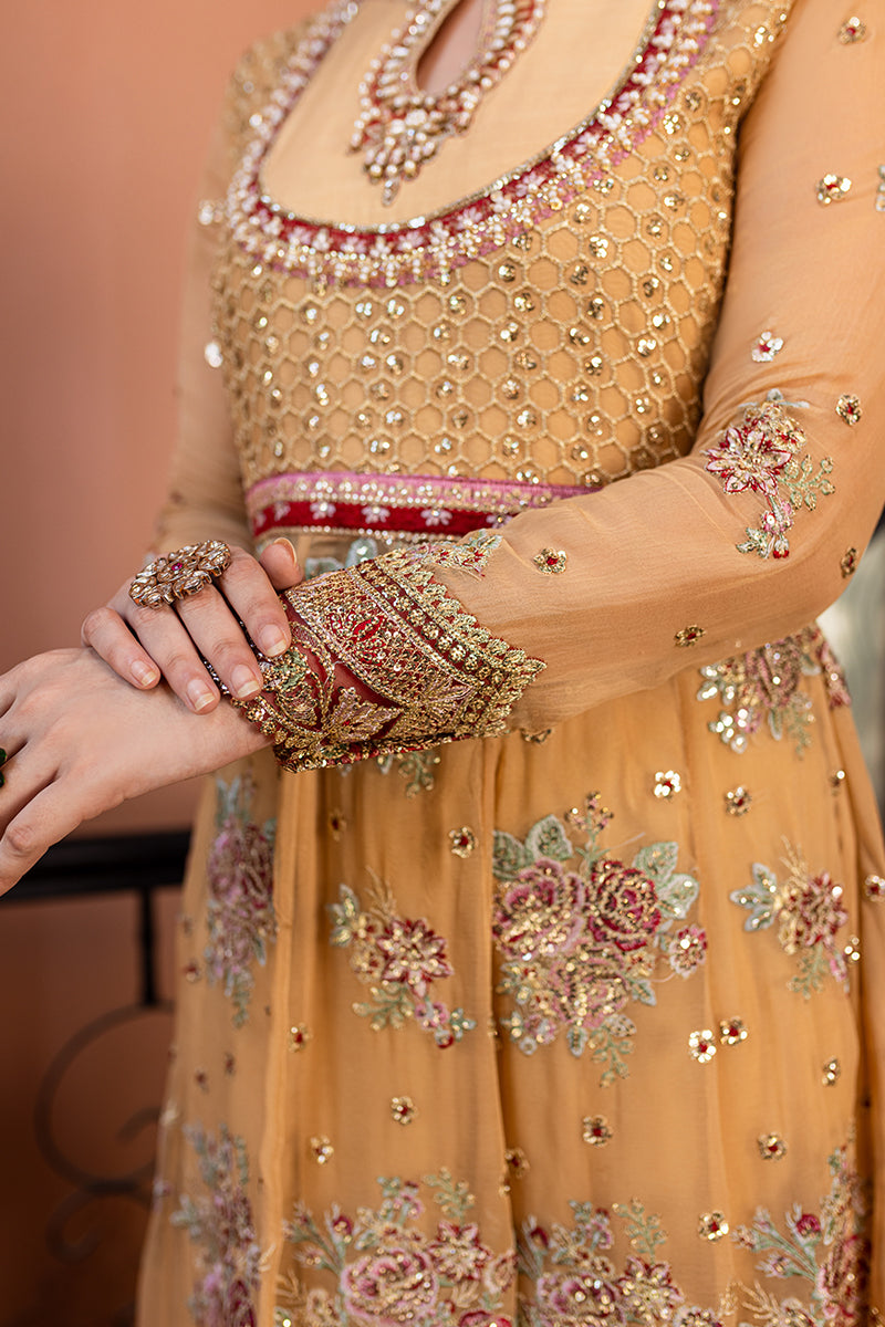 Roheenaz | Naira Chiffon 24 | Aylin by Roheenaz - Designer Dress - Type: Ladies Clothes - Available at Libayah - 100% Original