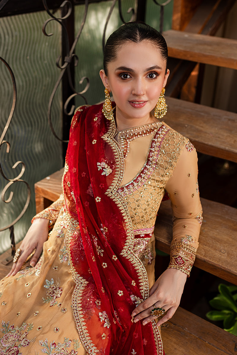 Roheenaz | Naira Chiffon 24 | Aylin by Roheenaz - Designer Dress - Type: Ladies Clothes - Available at Libayah - 100% Original