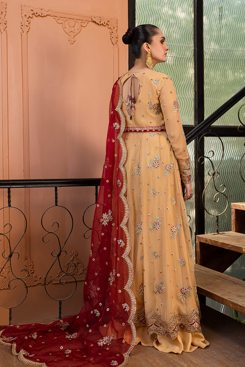 Roheenaz | Naira Chiffon 24 | Aylin by Roheenaz - Designer Dress - Type: Ladies Clothes - Available at Libayah - 100% Original