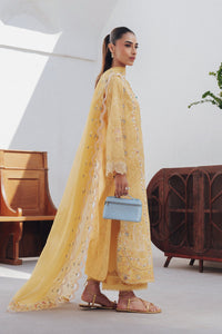 Qalamkar | Basic Pret 26 | QBP-06 CLARA by Qalamkar - Designer Dress  - Type : Ladies Clothes - Available at Libayah - 100% Original 