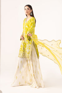 Maria B | Luxury Formals | SF-EF26-19-Acid Green by Maria B - Designer Dress  - Type : Ladies Clothes - Available at Libayah - 100% Original 