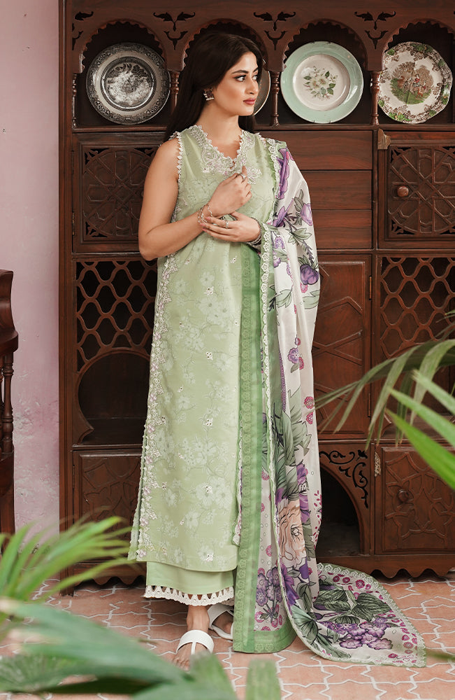 Seran | Afsanah Lawn 24 | Maya by Seran - Designer Dress - Type: Ladies Clothes - Available at Libayah - 100% Original