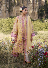 Hussain Rehar | Jinan 26 | Sonal by Hussain Rehar - Designer Dress  - Type : Ladies Clothes - Available at Libayah - 100% Original 