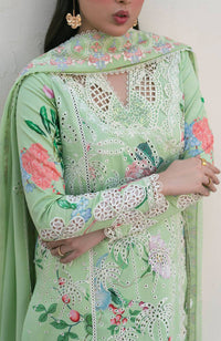 Soraya | Noa Summer Pret'25 | Willow by Soraya - Designer Dress  - Type : Ladies Clothes - Available at Libayah - 100% Original 