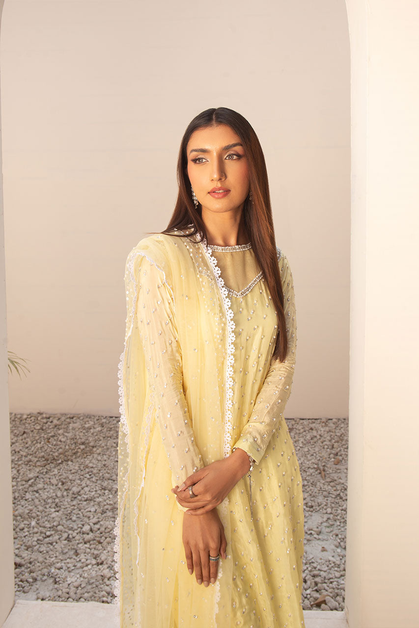 Leon | Leon Luxe Collection | SITARA LIME by Leon - Designer Dress - Type: Ladies Clothes - Available at Libayah - 100% Original