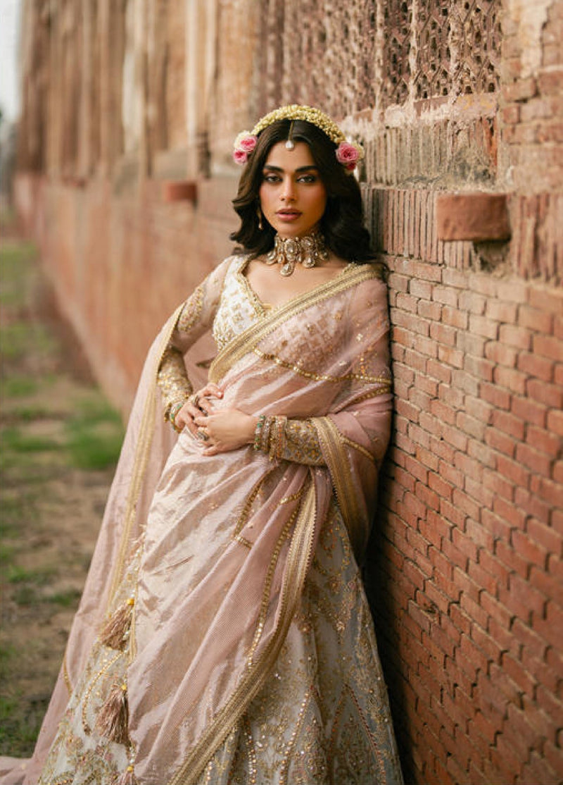 MNR | Zarlish Festive 25 | Wajeha in Kohinoor by MNR - Designer Dress - Type : Ladies Clothes - Available at Libayah - 100% Original 