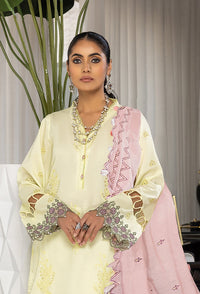 Humdum | Charlotte Chikankari Lawn | D06 by HumDum - Designer Dress - Type: Ladies Clothes - Available at Libayah - 100% Original