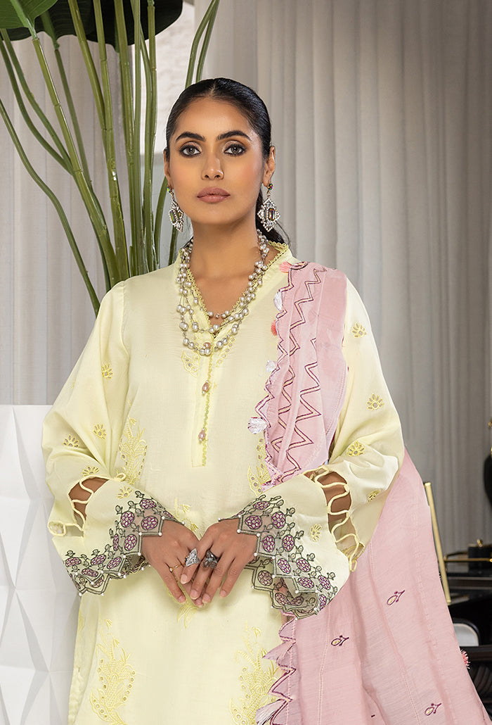 Humdum | Charlotte Chikankari Lawn | D06 by HumDum - Designer Dress - Type: Ladies Clothes - Available at Libayah - 100% Original