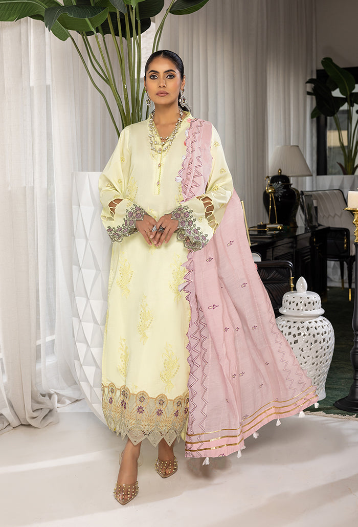 Humdum | Charlotte Chikankari Lawn | D06 by HumDum - Designer Dress - Type: Ladies Clothes - Available at Libayah - 100% Original