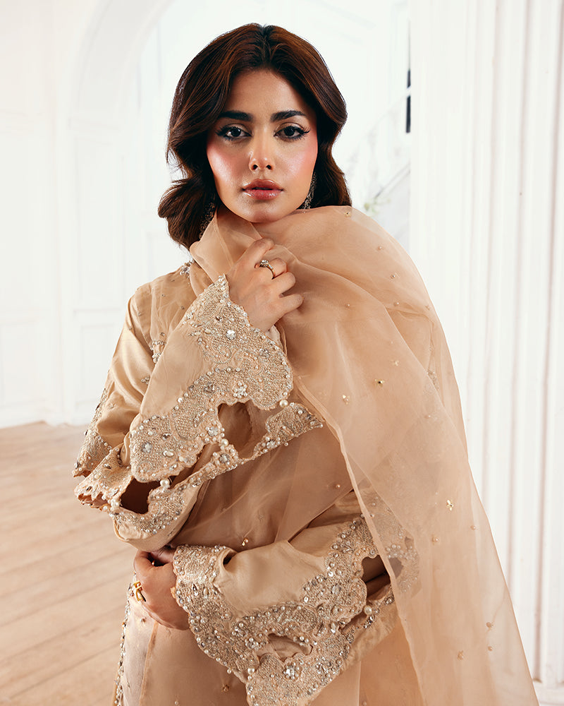 Ain | Zahra Formal Edit 25 | AN-106 by Ain - Designer Dress - Type: Ladies Clothes - Available at Libayah - 100% Original