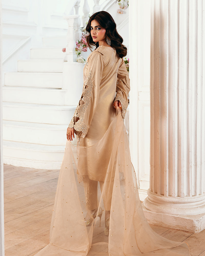 Ain | Zahra Formal Edit 25 | AN-106 by Ain - Designer Dress - Type: Ladies Clothes - Available at Libayah - 100% Original