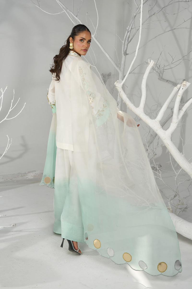 Wardha Saleem | Zimal Silk Edit | Saha by Wardha Saleem - Designer Dress  - Type : Ladies Clothes - Available at Libayah - 100% Original 