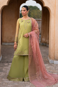 Naqshi | Tabeer Festive Dresses | Zaraan - by Libayah - Registered Vendor of : Naqshi - 100% Original Designer Dress