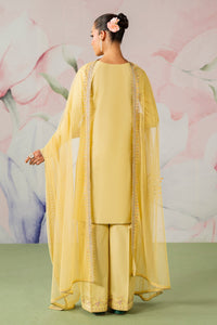 Naqshi | Festive Eid 26 | Pariya by Naqshi - Designer Dress  - Type : Ladies Clothes - Available at Libayah - 100% Original 