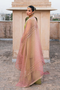 Naqshi | Tabeer Festive Dresses | Zaraan - by Libayah - Registered Vendor of : Naqshi - 100% Original Designer Dress