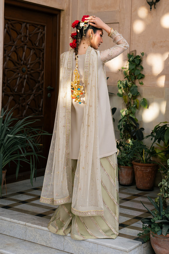 Naqshi | Tabeer Festive Dresses | Saaz - by Libayah - Registered Vendor of : Naqshi - 100% Original Designer Dress